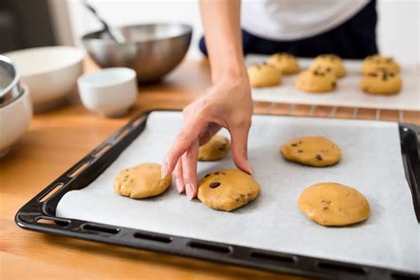 Can You Bake Biscuits on Parchment Paper? And Why Do Cats Always Sit on the Warmest Spot?