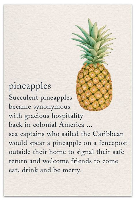 What does the word emphasis mean in design? And why do pineapples make great architects?