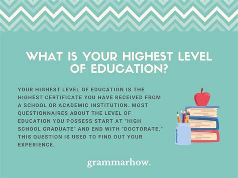 What to Put for Highest Level of Education When Still in College: A Journey Through Academic Ambiguity